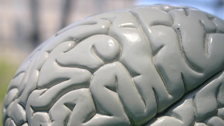 is there coursework in a level psychology What students will find is that coursework and other academic projects will expect a much greater level of a multidisciplinary approach, encouraging the student to look outside the confines of environment, psychology and philosophy. is there coursework in a level psychology What students will find is that coursework and other academic projects will expect a much greater level of a multidisciplinary approach, encouraging the student to look outside the confines of environment, psychology and philosophy.