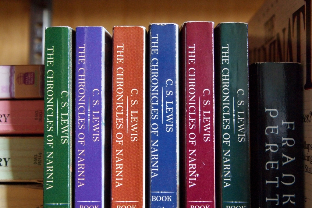 author-books-bookshelf-159778 english literature