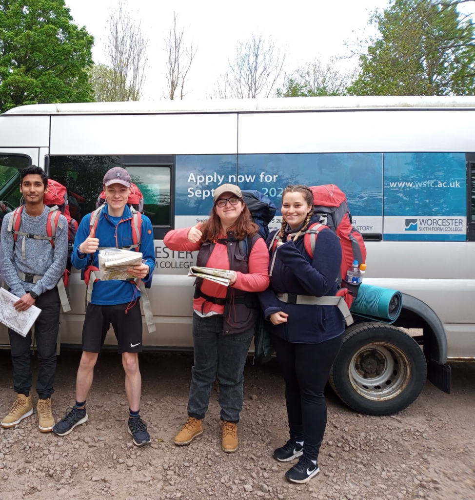 broze dofe