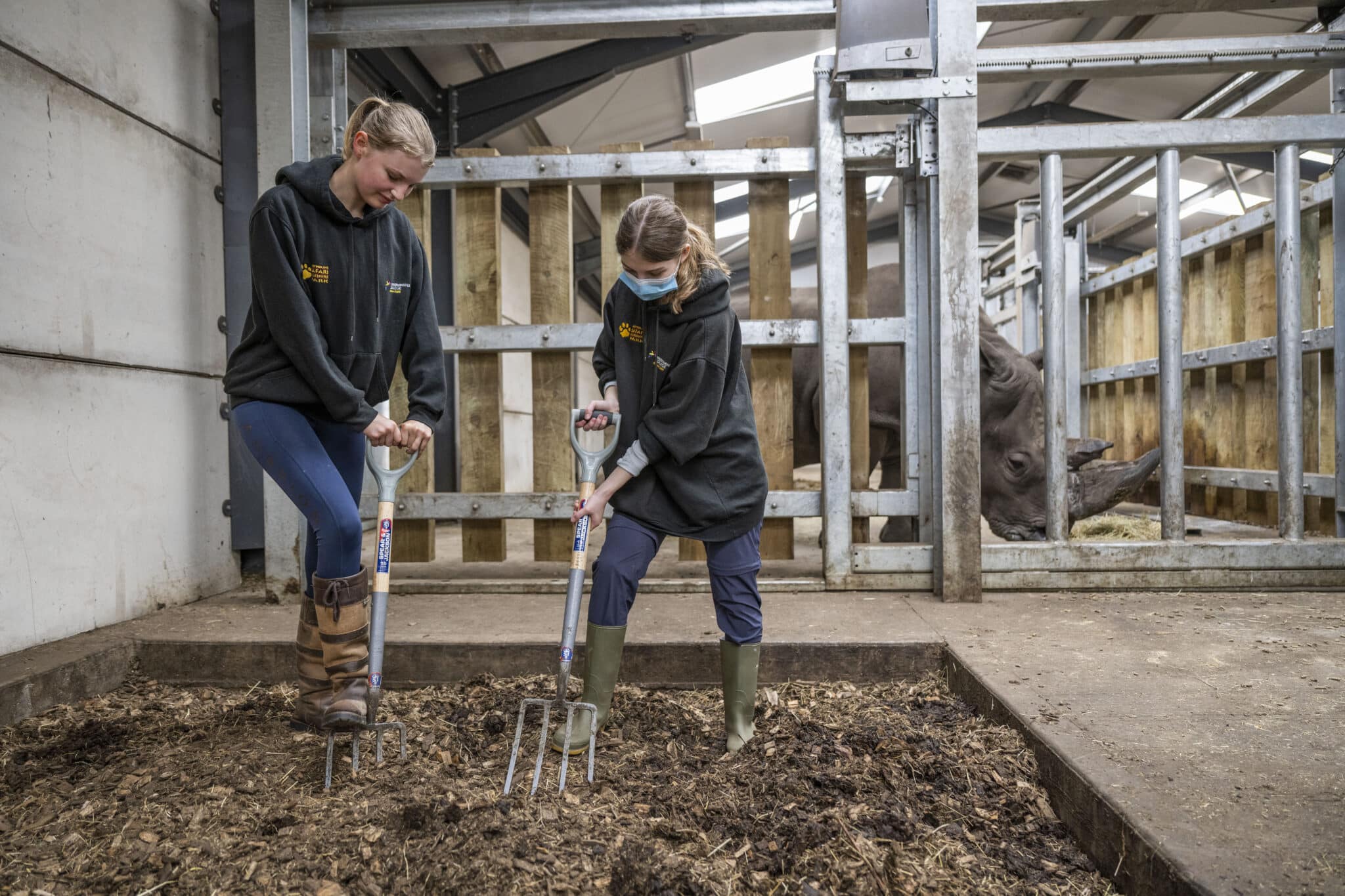 work experience at West Midlands Safari Park