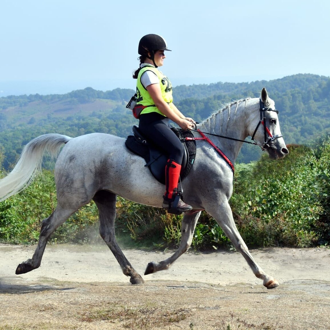 Charlie Turley - equestrian endurance