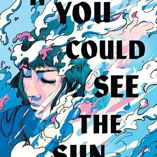 If you could see the sun