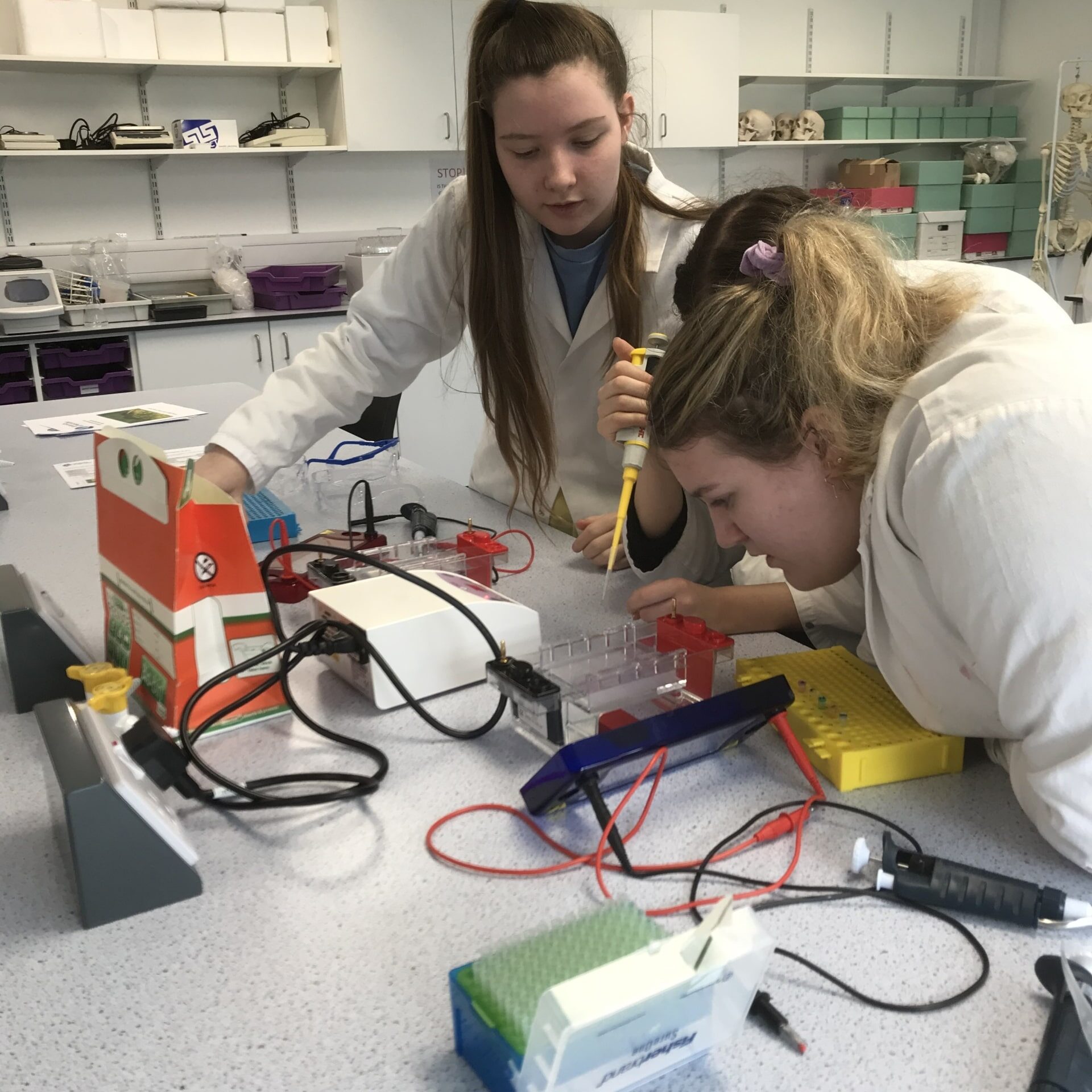 Environmental Science students visit UoW