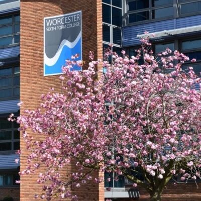 college blossom
