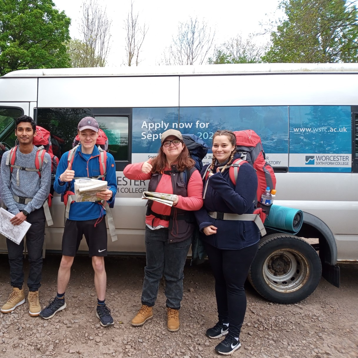 broze dofe